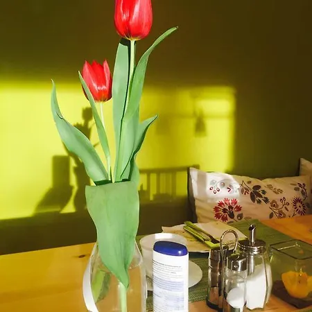 מלון דירות Apartmenthaus Sonnen 3*