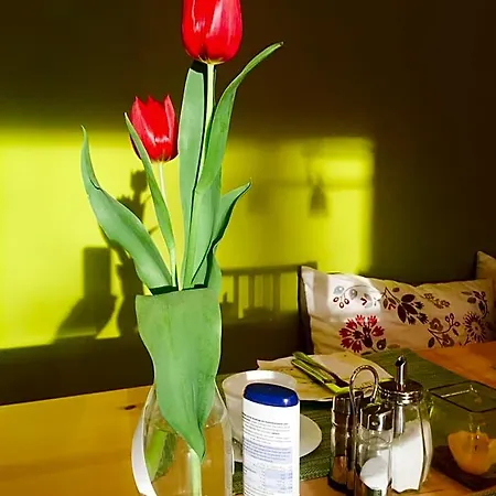 Aparthotel Apartmenthaus Sonnen Dusseldorf