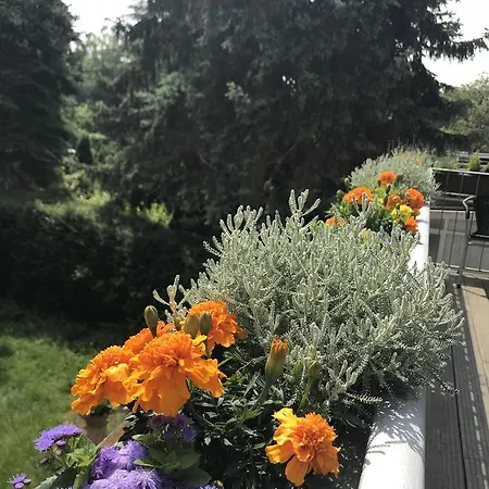 Apartmenthaus Sonnen Апарт-отель