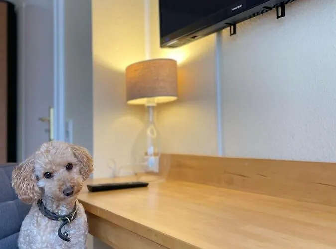 아파트호텔 Apartmenthaus Sonnen