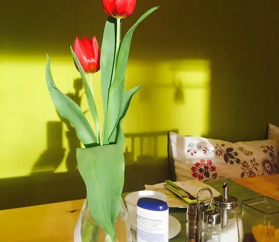 아파트호텔 Apartmenthaus Sonnen 3*