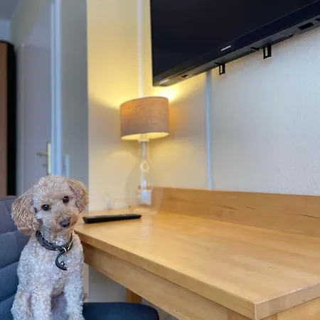 公寓式酒店 Apartmenthaus Sonnen