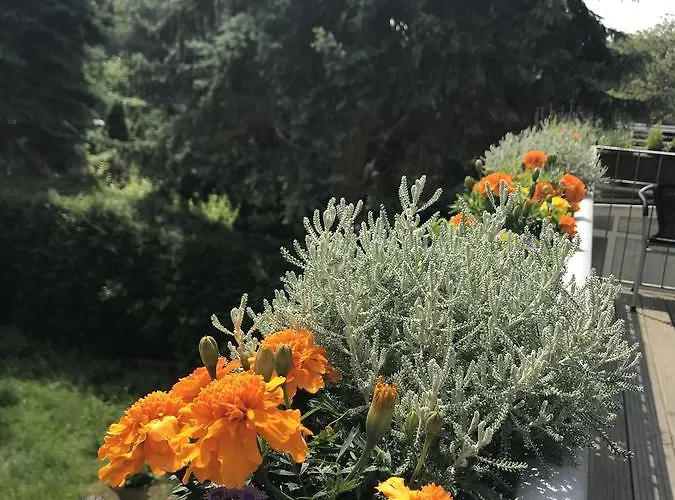 Apartmenthaus Sonnen Aparthotel