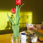 Apartahotel Apartmenthaus Sonnen 3*
