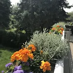 Apartmenthaus Sonnen Apartahotel
